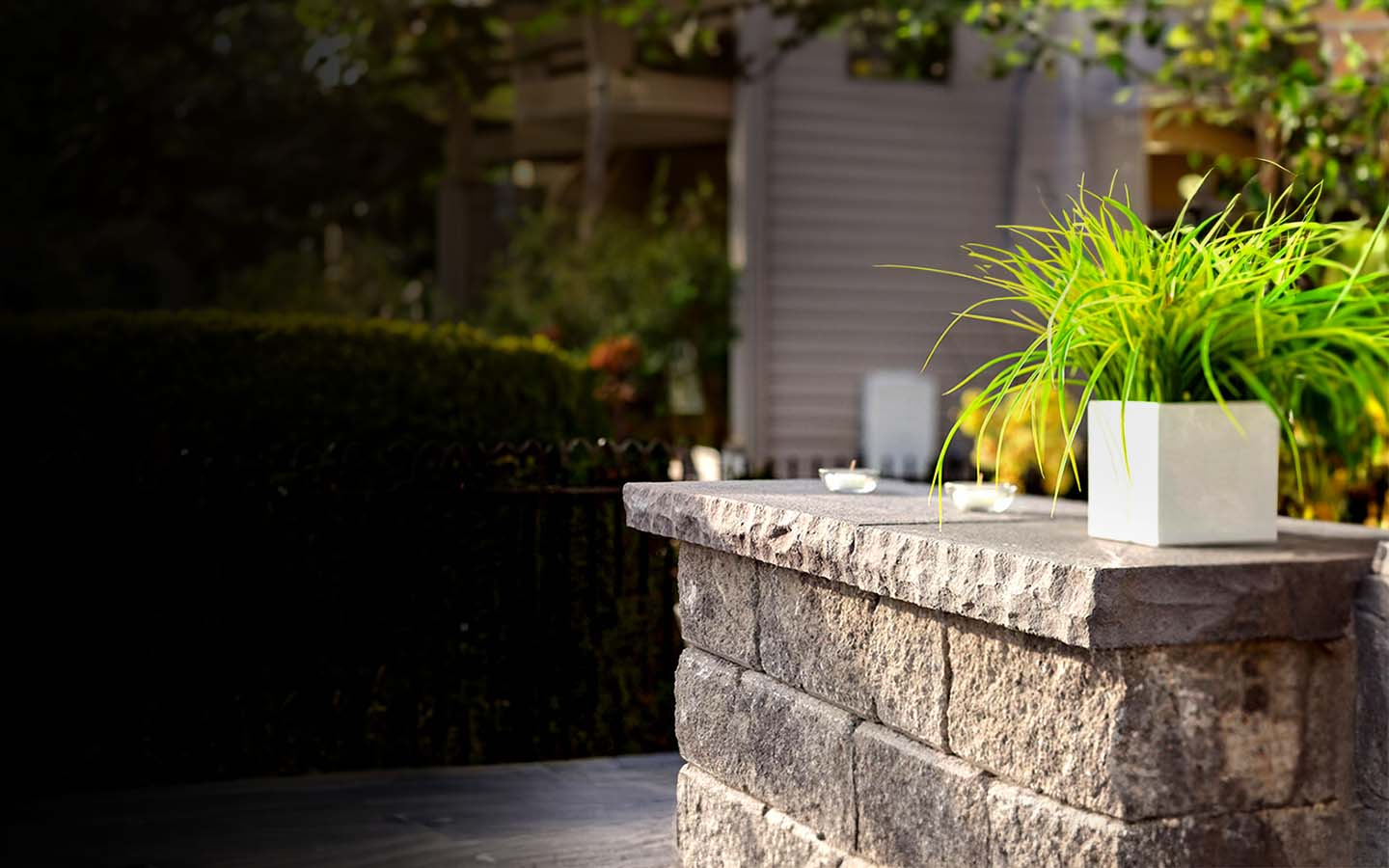 Wall Caps Product Shot